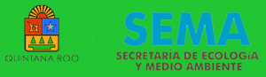 Banner-del-header_bitacora.fw Banner-del-header_bitacora.fw